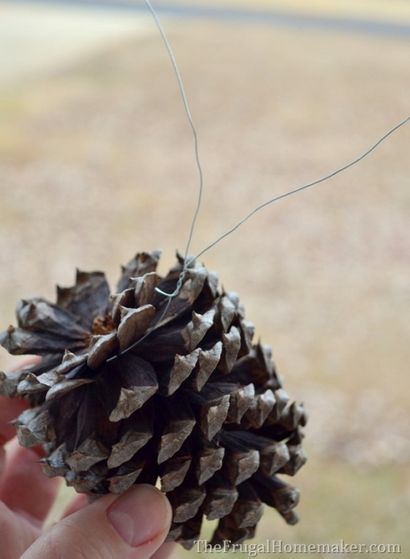 Grapevine Noël - couronne à feuilles persistantes (faite avec des boutures d'arbres libres!) - Le Frugal Homemaker