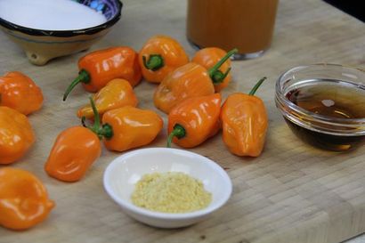 Cider Maple Habapeppersauce (heiße Soße) Rezept