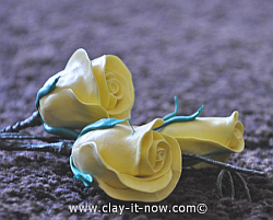 Clay Fleurs Toutes les saisons fleurs