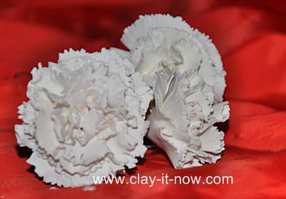 Clay Fleurs Toutes les saisons fleurs