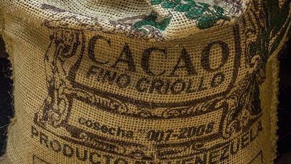 Cacao avantages essentiels du pétrole et utilisations - pour vos besoins de massage