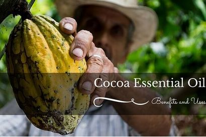Cacao avantages essentiels du pétrole et utilisations - pour vos besoins de massage