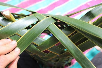 Kokospalme Weaving Dilly Beutel, Obstschale, Taro Korb, RosaLindenTree