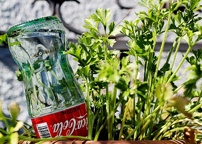 Coca-Cola Bottle Arrosage - Globes