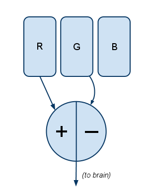 Couleur Les roues sont mal comment la vision des couleurs fonctionne réellement - @ASmartBear - WP Engine