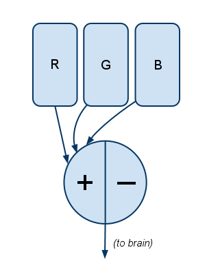 Couleur Les roues sont mal comment la vision des couleurs fonctionne réellement - @ASmartBear - WP Engine