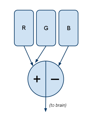 Couleur Les roues sont mal comment la vision des couleurs fonctionne réellement - @ASmartBear - WP Engine