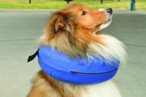 Komfortable Dog Cone-Alternativen, Whole Dog Journal