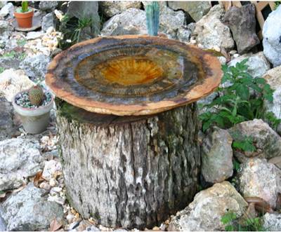 Béton, Bains d'oiseaux de jardin Artisanat & amp; décor de jardin