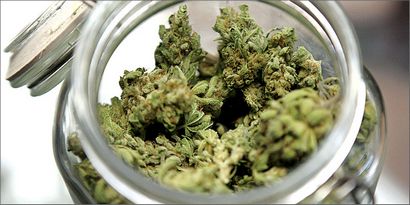 Cuisiner avec du cannabis (cannabis Crédit photo) Cuisiner avec du cannabis