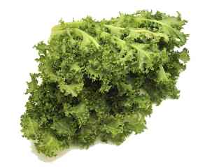 Cook Thesaurus Les Verts salade (thésaurus) Cook Thésaurus des Verts Salade