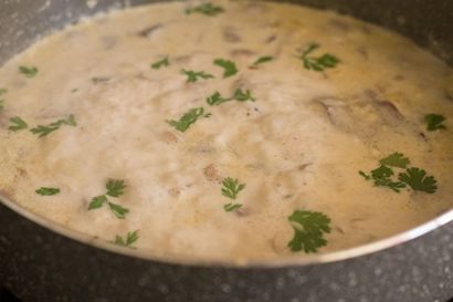 Pilzcremesuppe Rezept, veg Champignon-Creme-Suppe Rezept
