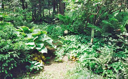 Erstellen Sie einen Gartenweg, DIY Gardener s Versorgungs