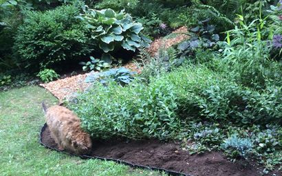 Erstellen Sie einen Gartenweg, DIY Gardener s Versorgungs