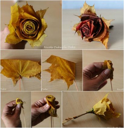 Creative DIY Roses Feuille d'érable en 6 étapes faciles - Bricolage - Artisanat