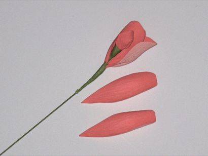 roses en papier crépon comment faire