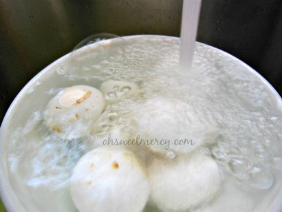 Crock Pot Hard Boiled Eggs - Oh süßer Mercy