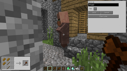 Benutzerdefinierte NPCs, Minecraft Mods