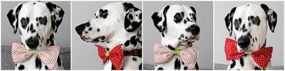 Dalmatiner DIY DIY Reversible Hundehalsband Fliege (Standard oder Aufmaß)