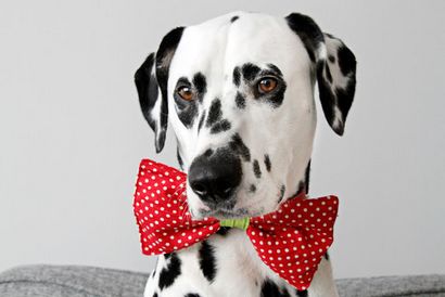 Dalmatiner DIY DIY Reversible Hundehalsband Fliege (Standard oder Aufmaß)