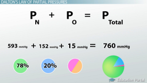 Dalton s Gesetz der Partialdrücke Berechnung Teil & amp; Gesamtdrücke - Video & amp; Lektion Transcript