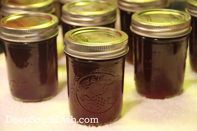 Deep South Muscadine plat et Scuppernong Jelly