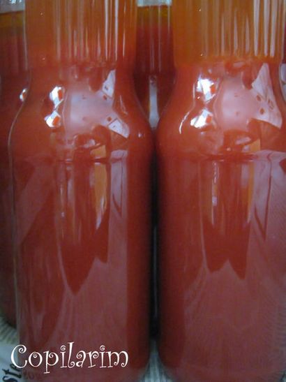 Köstliche hausgemachte Tomaten-Saft (4 Typen) - Nur Tomaten und Salz 11 Steps (mit Bildern)