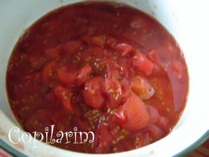 Köstliche hausgemachte Tomaten-Saft (4 Typen) - Nur Tomaten und Salz 11 Steps (mit Bildern)