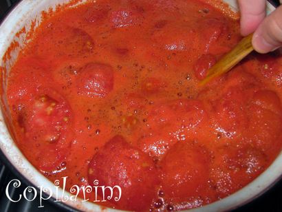 Köstliche hausgemachte Tomaten-Saft (4 Typen) - Nur Tomaten und Salz 11 Steps (mit Bildern)