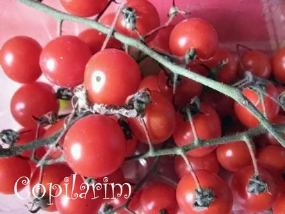 Köstliche hausgemachte Tomaten-Saft (4 Typen) - Nur Tomaten und Salz 11 Steps (mit Bildern)