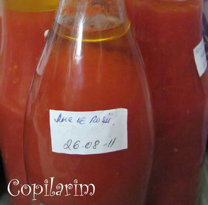 Köstliche hausgemachte Tomaten-Saft (4 Typen) - Nur Tomaten und Salz 11 Steps (mit Bildern)