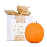 Délicieusement délicieux Waxy Formes de fruits (Les bougies chauffe-plat de pommes et de poires) Délicieusement délicieux Waxy Formes de fruits
