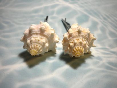 Del Coquilles de sirène Accessoires cheveux (comment faire des accessoires de cheveux shell) Del Coquilles de sirène Accessoires cheveux