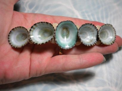 Del Coquilles de sirène Accessoires cheveux (comment faire des accessoires de cheveux shell) Del Coquilles de sirène Accessoires cheveux