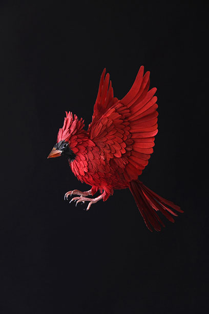 Nuée d'oiseaux de papier Diana Beltran Herrera, Science, Smithsonian