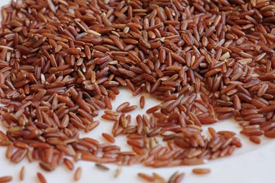 Différents types de riz - long, moyen ou court Grain de riz