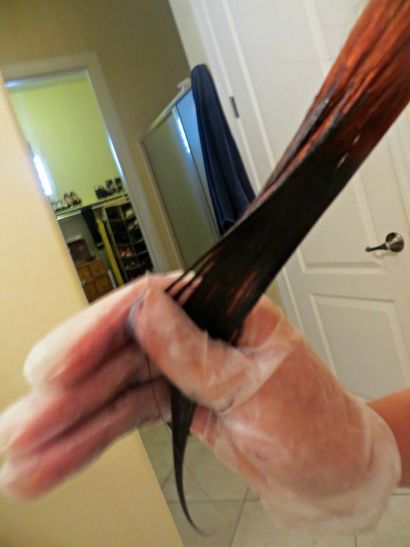 Dip-dye Reverse-Ombre DIY Couleur de cheveux, Dove Sassy (colombe) Dip-dye Reverse-Ombre DIY Couleur de cheveux, Sassy Dove