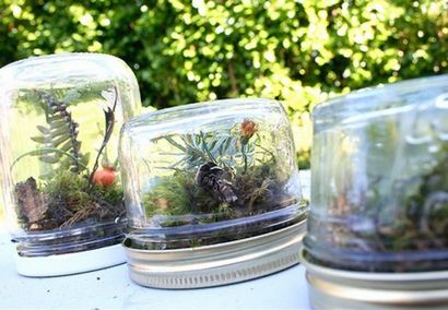 DIY 10 Amazing Selbst gemachte Terrarien Das Perfect Holiday Geschenke, Inhabitat - Green Design,