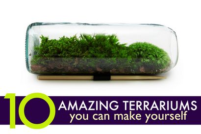 DIY 10 Amazing Selbst gemachte Terrarien Das Perfect Holiday Geschenke, Inhabitat - Green Design,