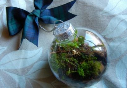 Bricolage 10 étonnants faits maison terrariums qui font des dons vacances parfaites, Inhabitat - Green Design,