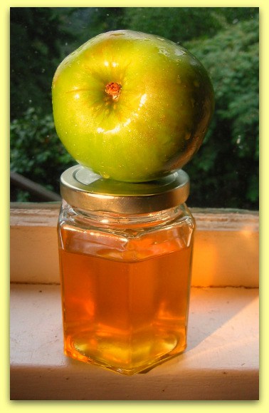 DIY - Apfel-Gelee Rezept, wie frische Apfelgelee zu Hause machen
