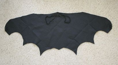 DIY Bat Kinder-Kostüm Bat Wings und Bat Ears - Buggy und Buddy