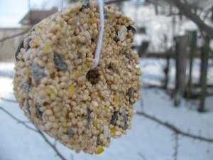 DIY ornements (graines pour oiseaux faire pour Noël) - Frugal Upstate