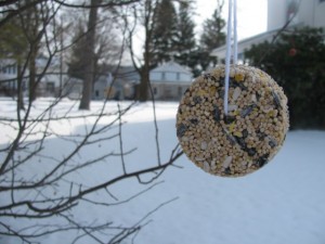 DIY ornements (graines pour oiseaux faire pour Noël) - Frugal Upstate