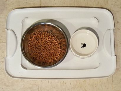 DIY Cat Treat Dispenser - Upcycled Freie Katze-Spielzeug