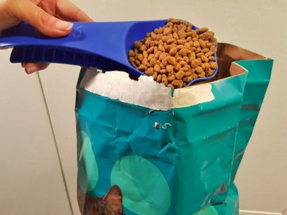 DIY Cat Treat Dispenser - Upcycled Freie Katze-Spielzeug