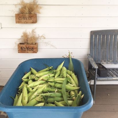 DIY Corn Husk Hexenbesen