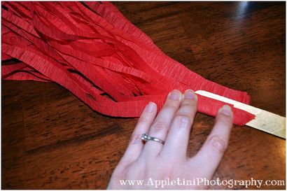 DIY Krepppapier Pom Poms - Appletini Fotografie