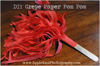 DIY Krepppapier Pom Poms - Appletini Fotografie