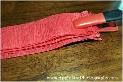 DIY Krepppapier Pom Poms - Appletini Fotografie